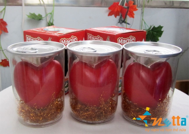 Quà tặng hạt nảy mầm 