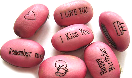 Quà tặng hạt nảy mầm 1